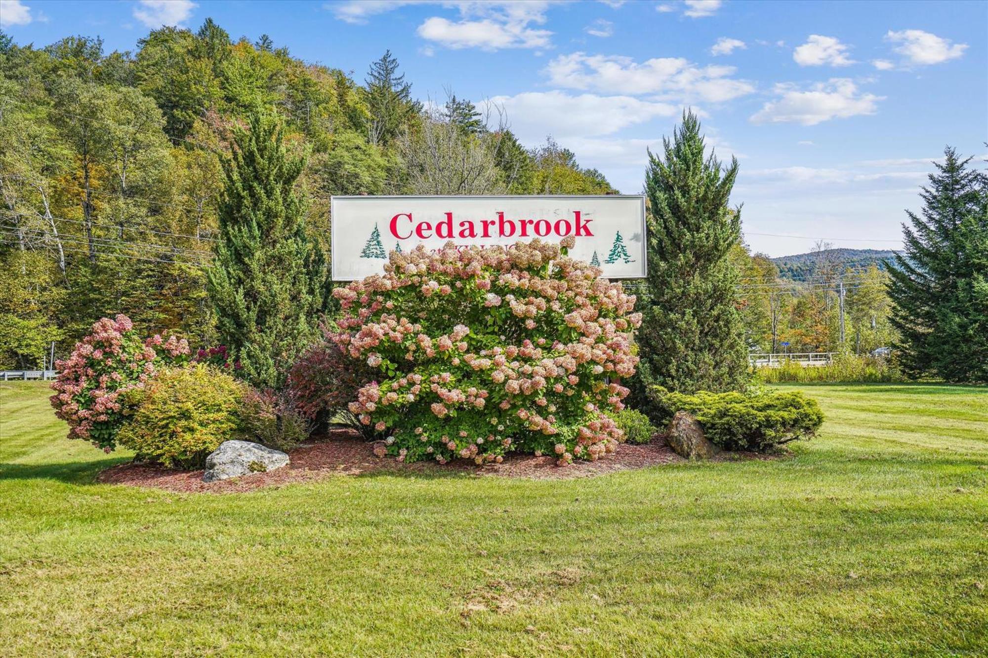 Cedarbrook Queen Studio 110 Кіллінгтон Екстер'єр фото